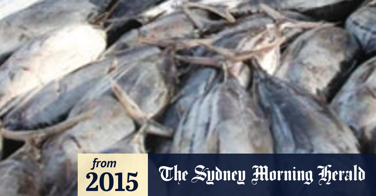 Suspected fish poisoning at Sydney cafe causes NSW Food